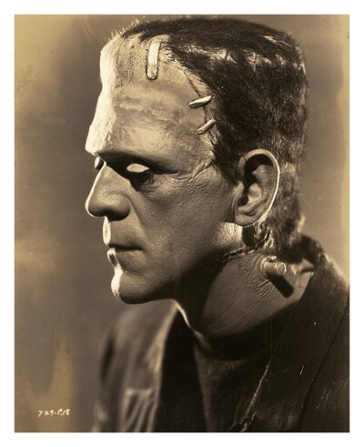 Boris Karloff, The Bride Of Frankenstein 2.jpg