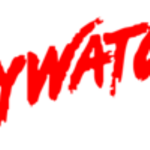 Baywatch_logo.png