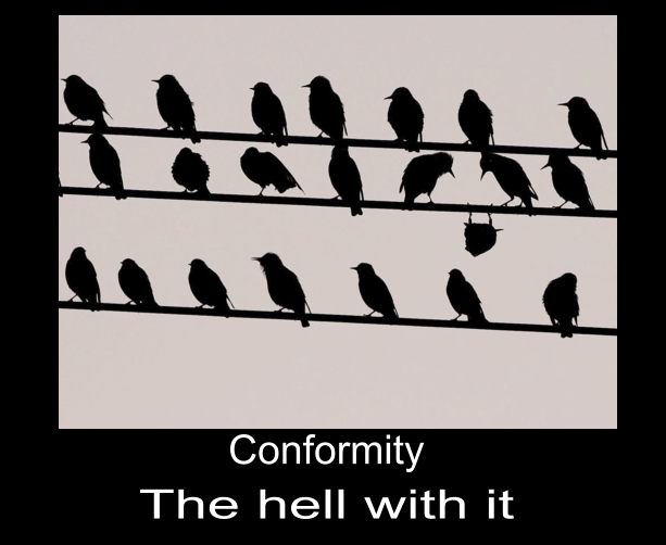 conformity____the_hell_with_it_by_k_liss-d5awr50.png