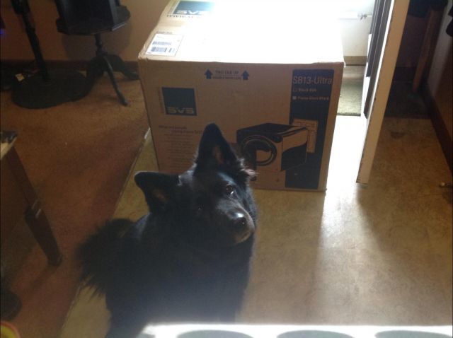 My 2 woofers My 2 woofers