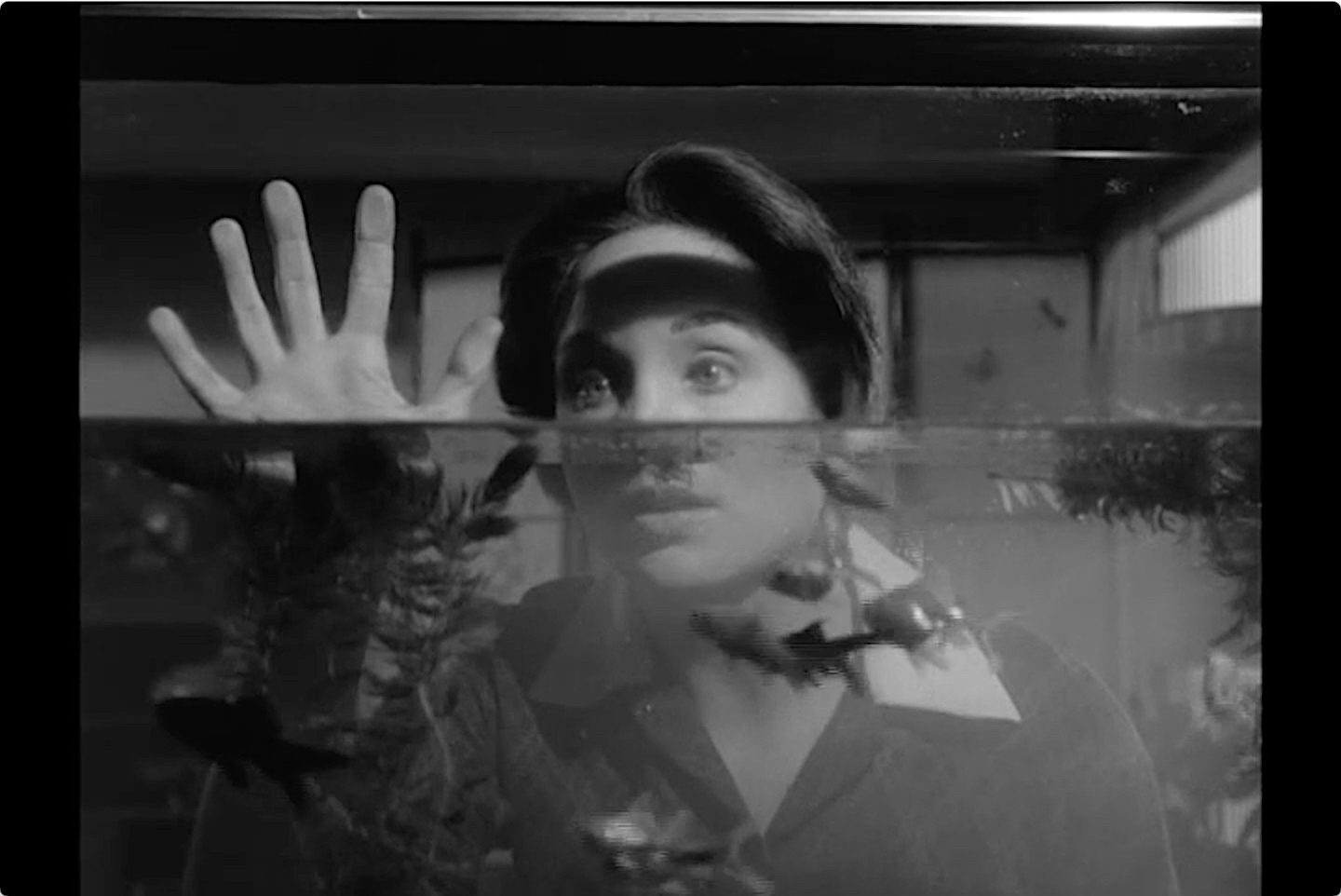 S02E29 Between Hello and Goodbye (May.11.1962)-50.jpg