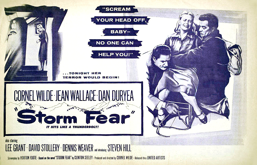 Storm Fear Poster Adj.jpg