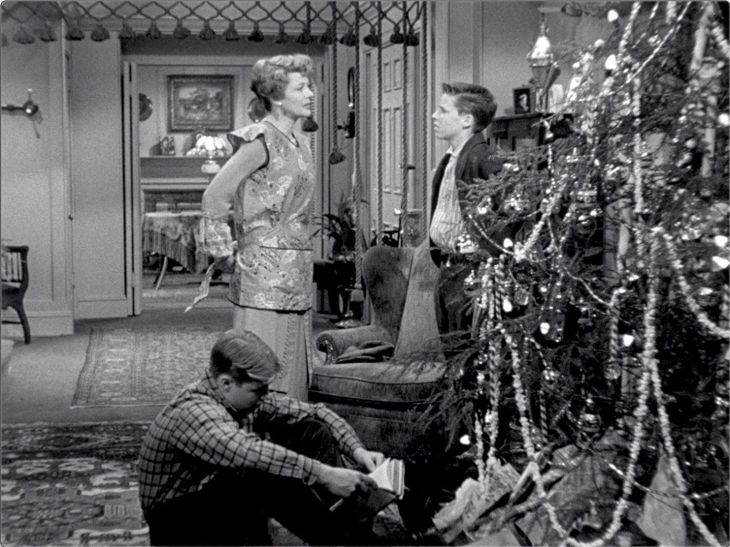 The Adventures of Ozzie and Harriet S02E15 The Miracle (Dec.25.1953)-22.jpg