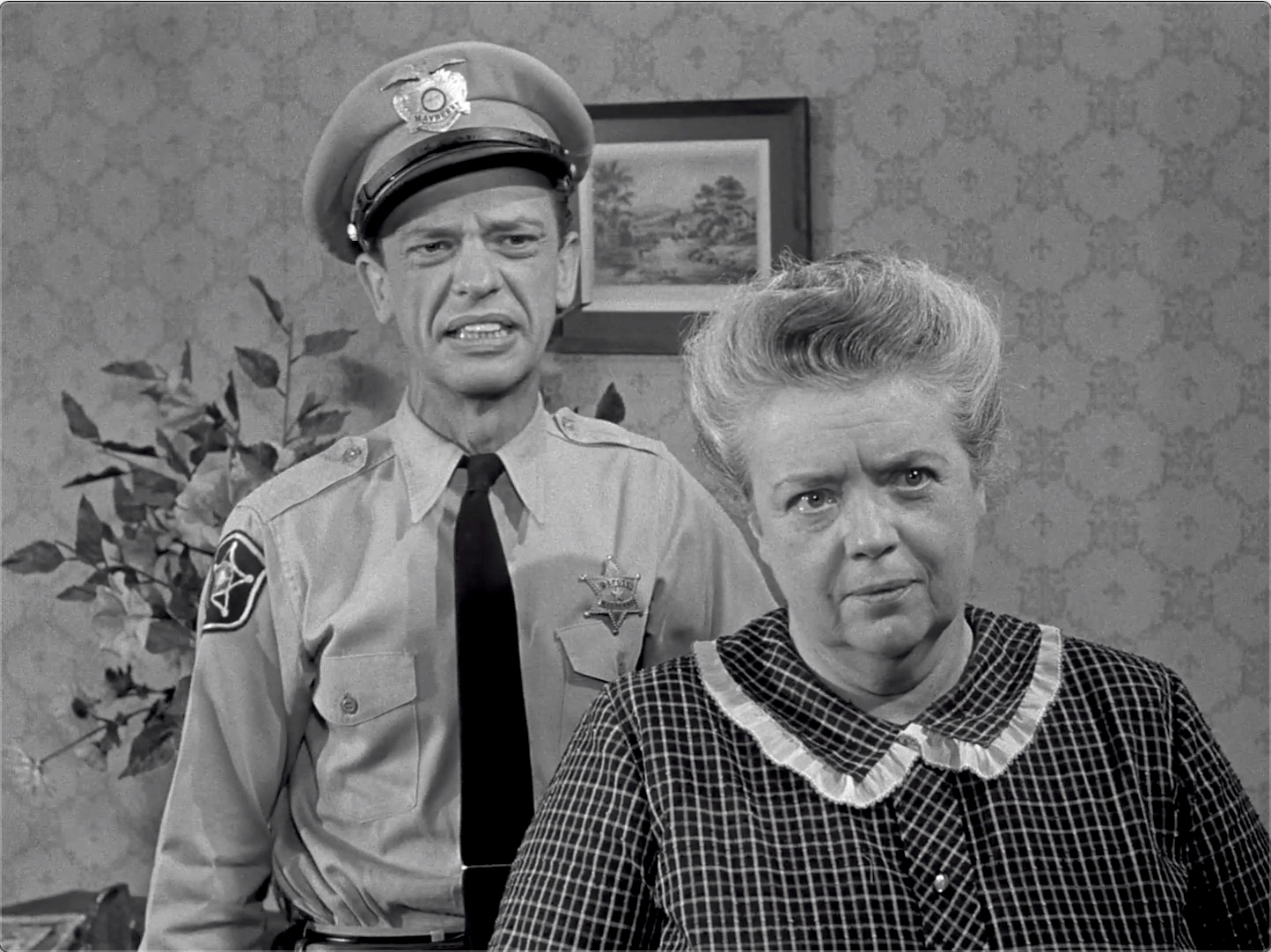 The Andy Griffith Show S03E01 Mr. McBeevee (Oct.01.1962)-124.jpg