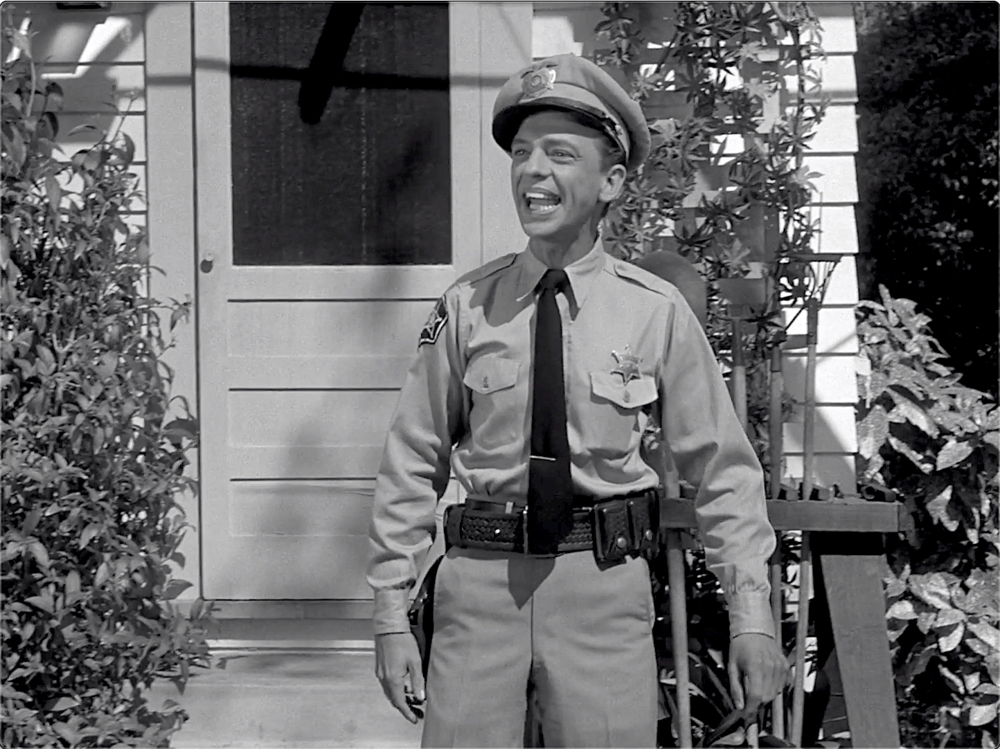 The Andy Griffith Show S03E01 Mr. McBeevee (Oct.01.1962)-15.jpg