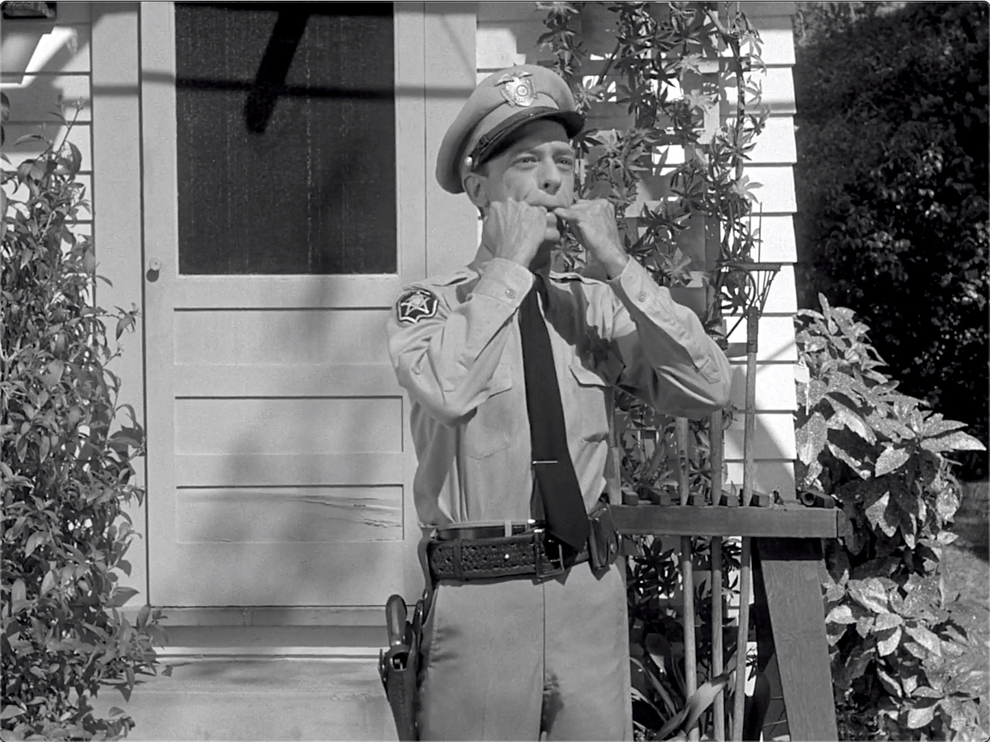 The Andy Griffith Show S03E01 Mr. McBeevee (Oct.01.1962)-17.jpg