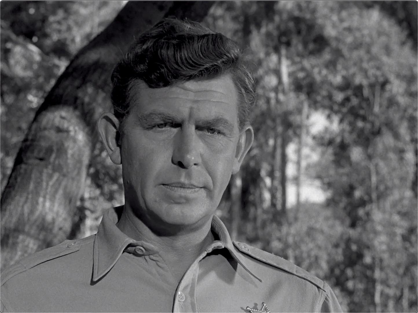 The Andy Griffith Show S03E01 Mr. McBeevee (Oct.01.1962)-98.jpg