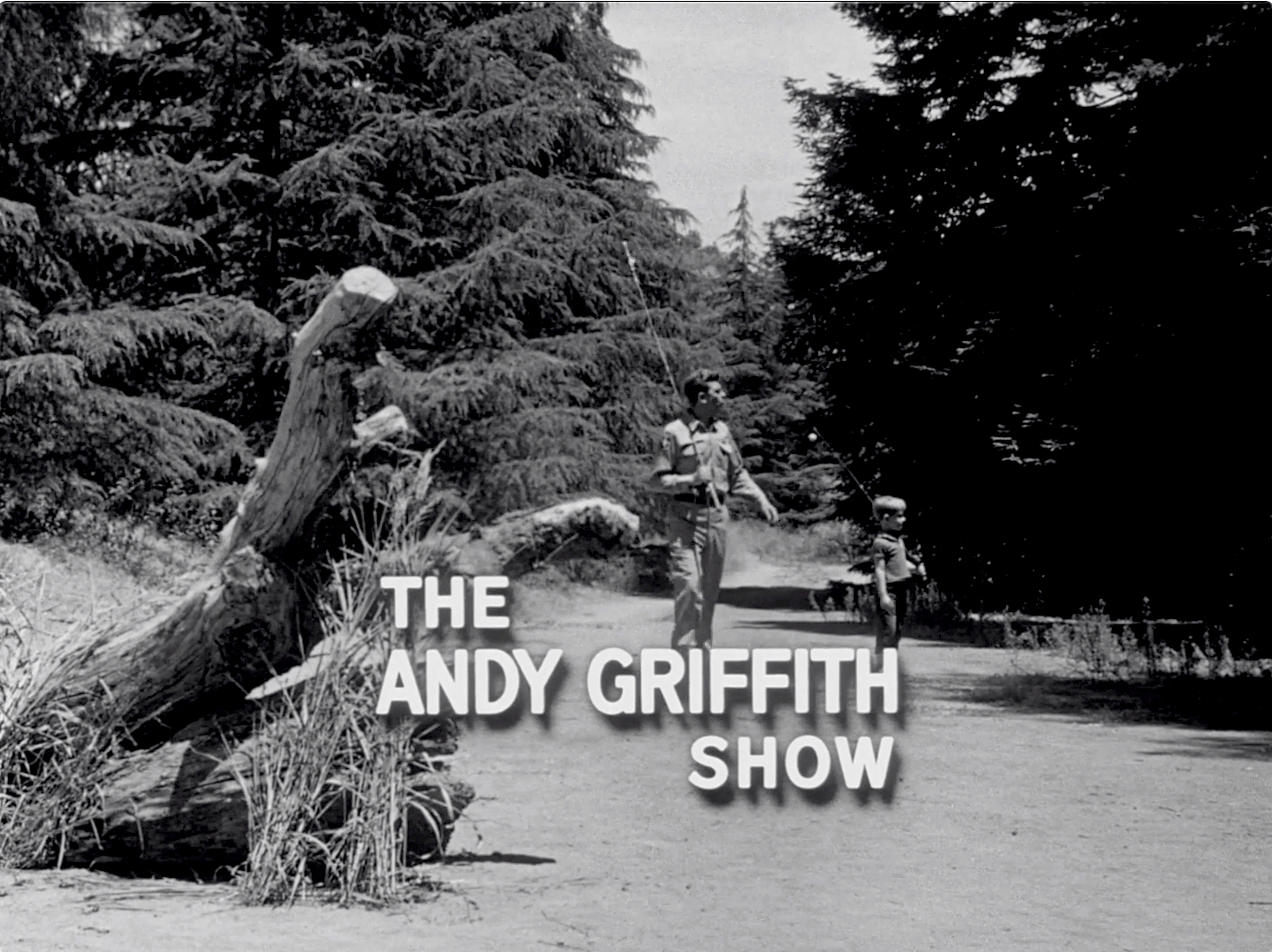 The Andy Griffith Show S04E05 Briscoe Declares for Aunt Bee (Oct.28.1963)-3.jpg