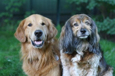 Brooks and Kelly in Backyard.jpg