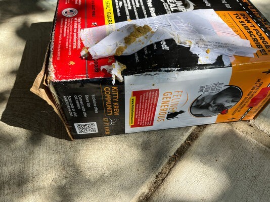 Litter.jpg Litter.jpg