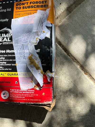 Litter2.jpg Litter2.jpg