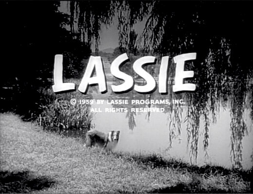 Lassie S08E23 The Odyssey Part 1 (Feb.18.1962)-2.jpg