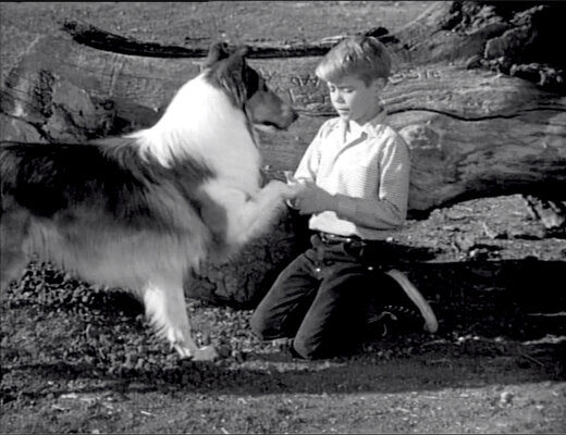 Lassie S08E23 The Odyssey Part 1 (Feb.18.1962)-7.jpg