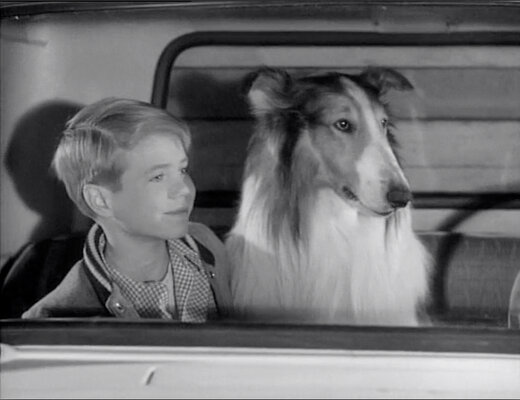 Lassie S08E23 The Odyssey Part 1 (Feb.18.1962)-9.jpg