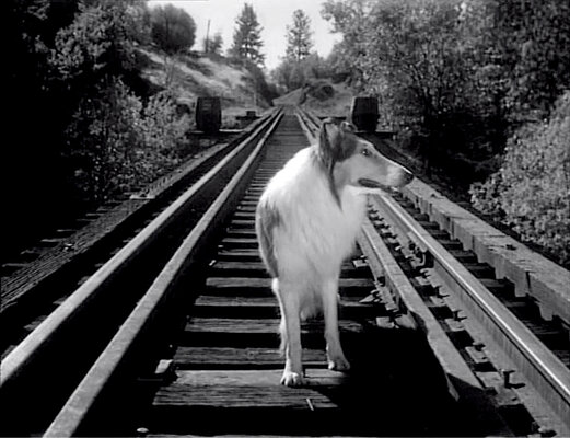 Lassie S08E24 The Odyssey Part 2 (Feb.25.1962)-7.jpg