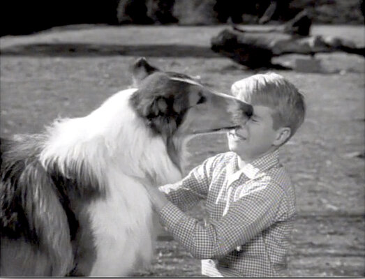 Lassie S08E25 The Odyssey Part 3 (Mar.04.1962)-113.jpg