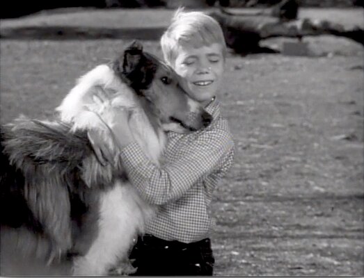 Lassie S08E25 The Odyssey Part 3 (Mar.04.1962)-116.jpg