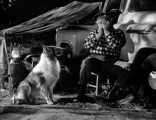 Lassie S08E24 The Odyssey Part 2 (Feb.25.1962)-109.jpg