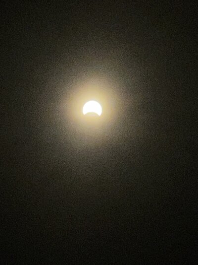 IMG_3190.jpeg