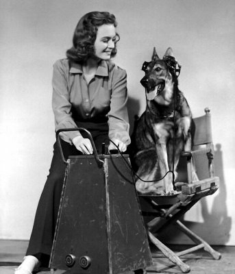 Donna Reed with Friday the dog Eyes in the Night.jpg