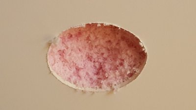 20160528_114745.jpg