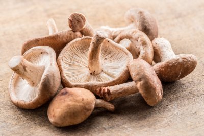benefits-of-mushrooms.jpg