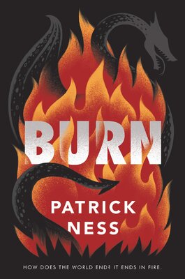 Burn.jpg