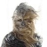 Wookie Groomer