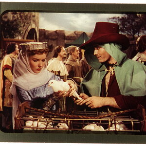 Rogues of Sherwood Forest (1950)1.jpeg