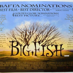 2003-big-fish-poster.jpg