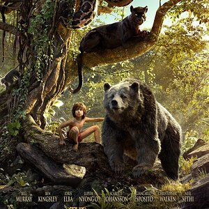the-jungle-book-character-poster-3.jpg