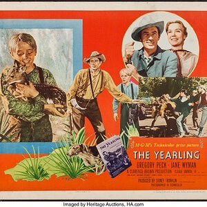 1946-The Yearling-poster.jpg