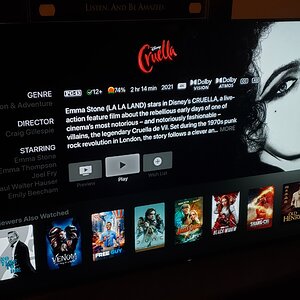 Cruella.jpg
