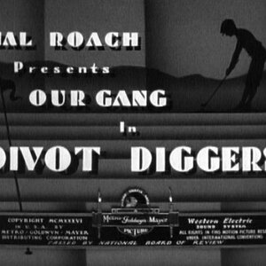 aa divot diggers.jpg