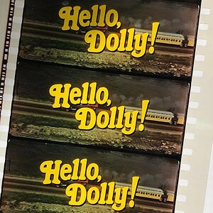 Dolly_70mm.jpg