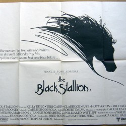 1979 black stallion poster