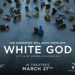 2014 White God movie poster