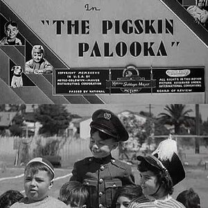 aaaaaa -the-pigskin-palooka-0-460-0-690-crop.jpg