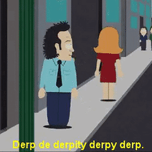 derp.gif