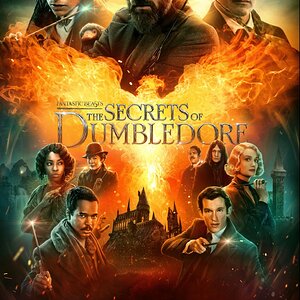 fantastic beasts the secrets of dumbledore.jpg