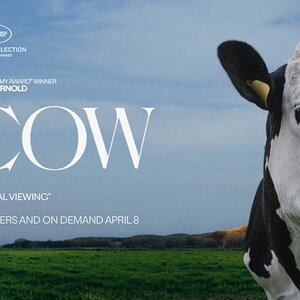 2021-Cow-poster.jpg