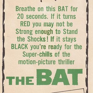 Bat_promo.jpg