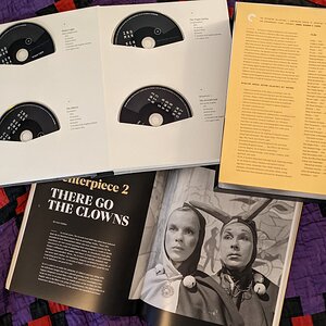 bergman boxed set.jpeg