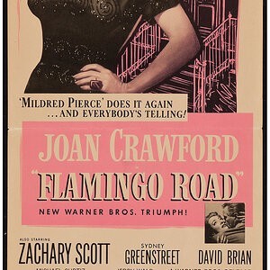 flamingo road best.jpeg