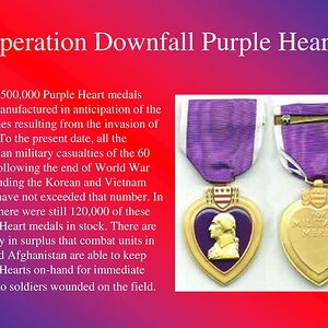 Operation+Downfall+Purple+Hearts.jpeg