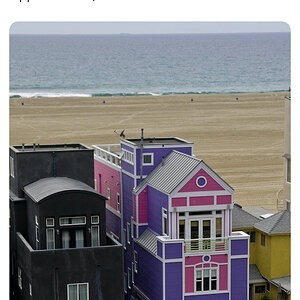 entire lives.jpeg