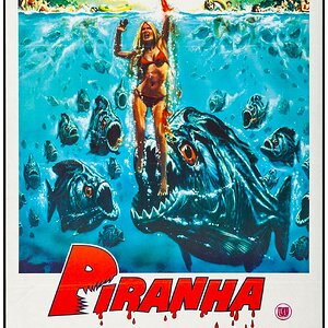 Piranha1.jpg