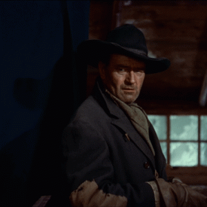 The.Searchers.1956.WAC.1080p.BluRay.x265.HEVC.FLAC-SARTRE_1.gif