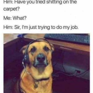 1747193067076.png
