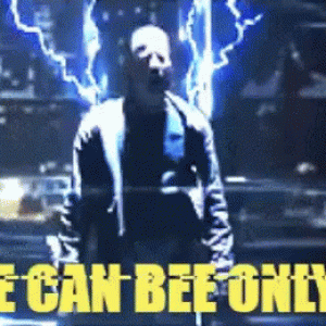 highlander.gif